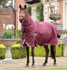 StormCheeta 300 Turnout Rug & Neck Set