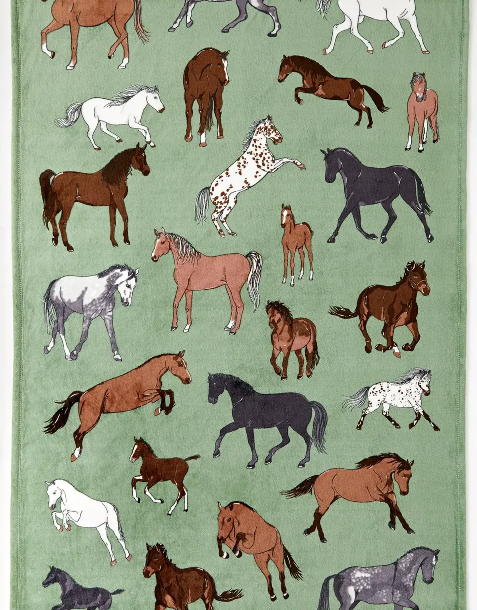 Grey Fox Equestrian Blankets