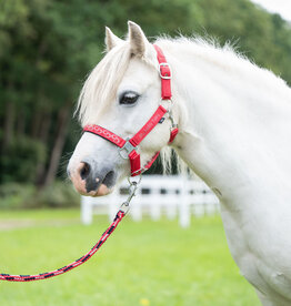 HKM Head collar -Aymee