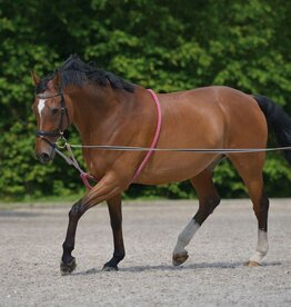 Lunging Aid - Full Size