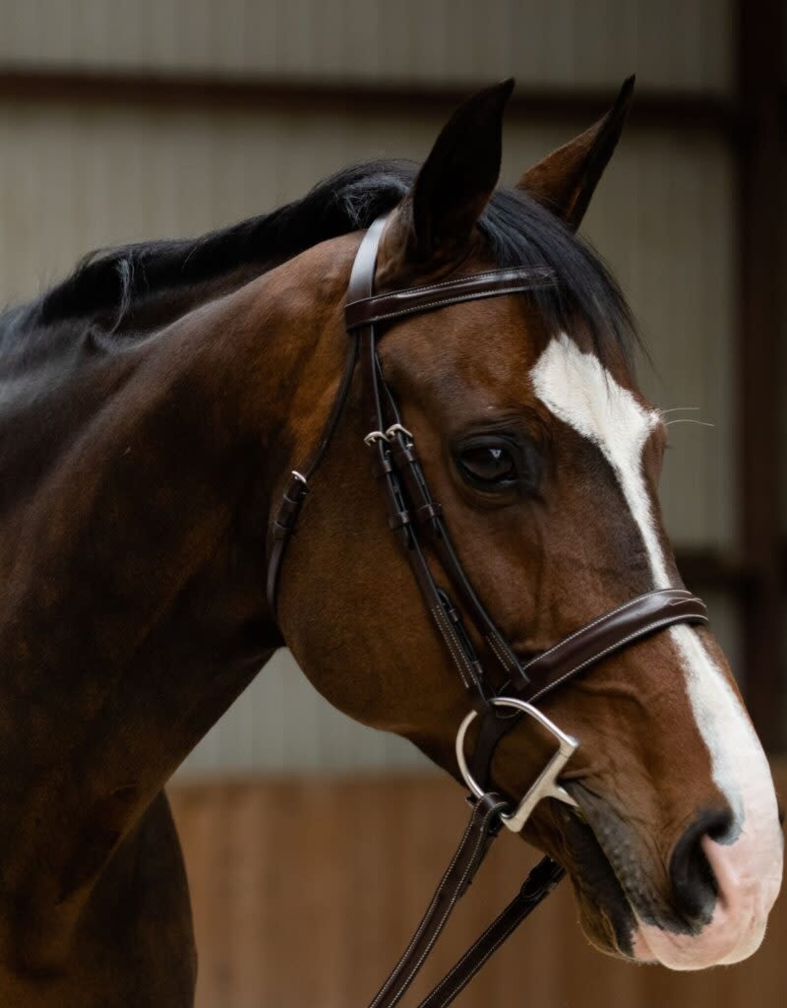 KL Select Black Oak Poppy Bridle