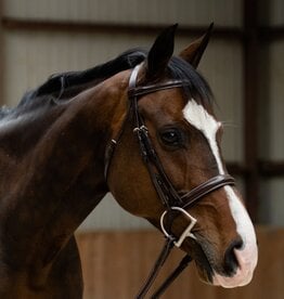 KL Select Black Oak Poppy Bridle