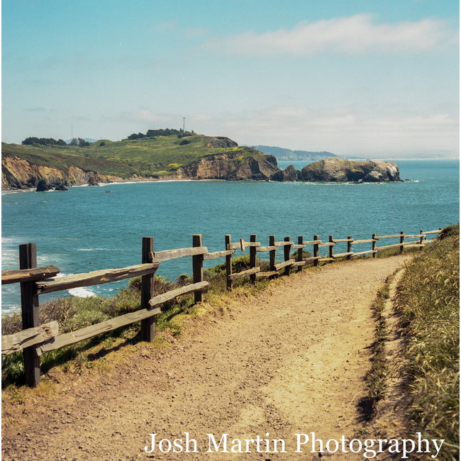 Kodak Portra 400 120mm Single Roll