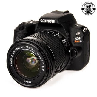Canon Canon EOS Rebel SL2 w/18-55mm IS Under 2500 Shots EXCELLENT