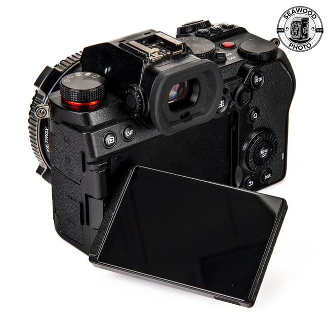Panasonic Lumix S5 w/ Accessories GOOD+