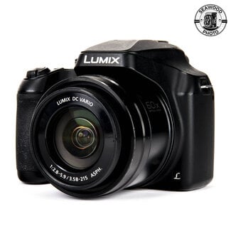 Lumix Lumix DC-FZ80 20-1200mm