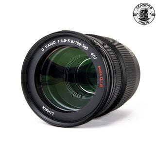 Panasonic Panasonic Lumix 100-300mm f/4.0-5.6 G Vario Mega O.I.S. EXCELLENT