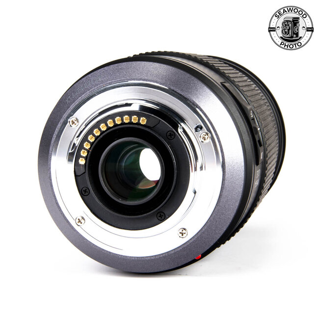 Panasonic Lumix 100-300mm f/4.0-5.6 G Vario Mega O.I.S. EXCELLENT