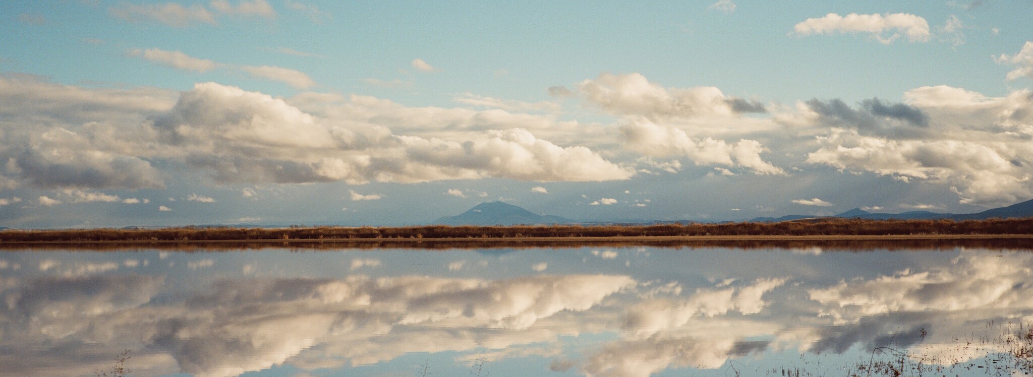 Hasselblad Xpan 35mm Panoramic by Zane Allen