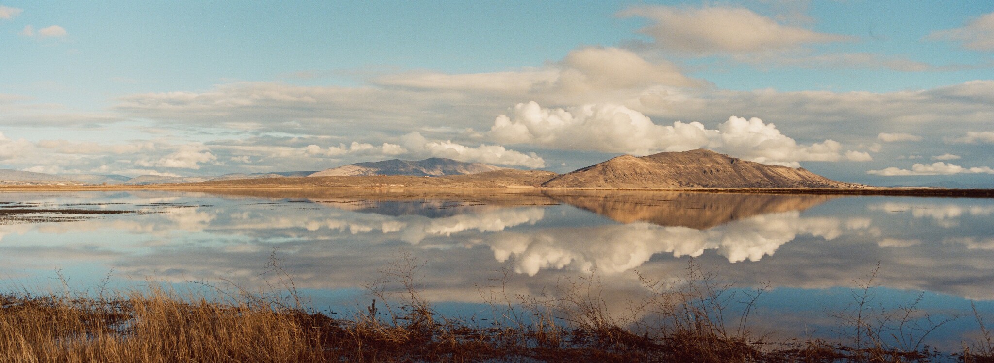 Hasselblad Xpan panoramic photo by Zane Allen