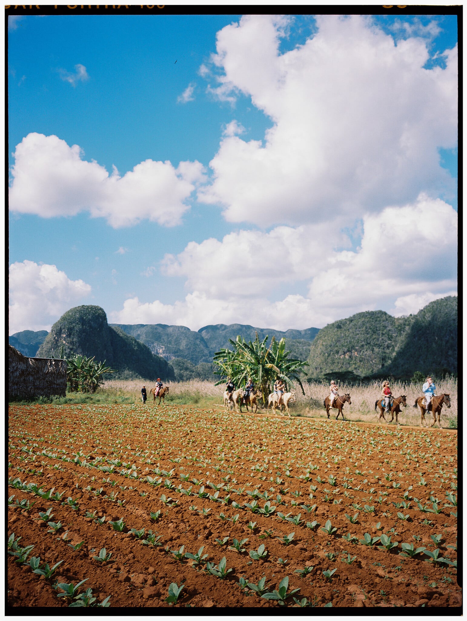 Ektacolor Pro 400 in 120