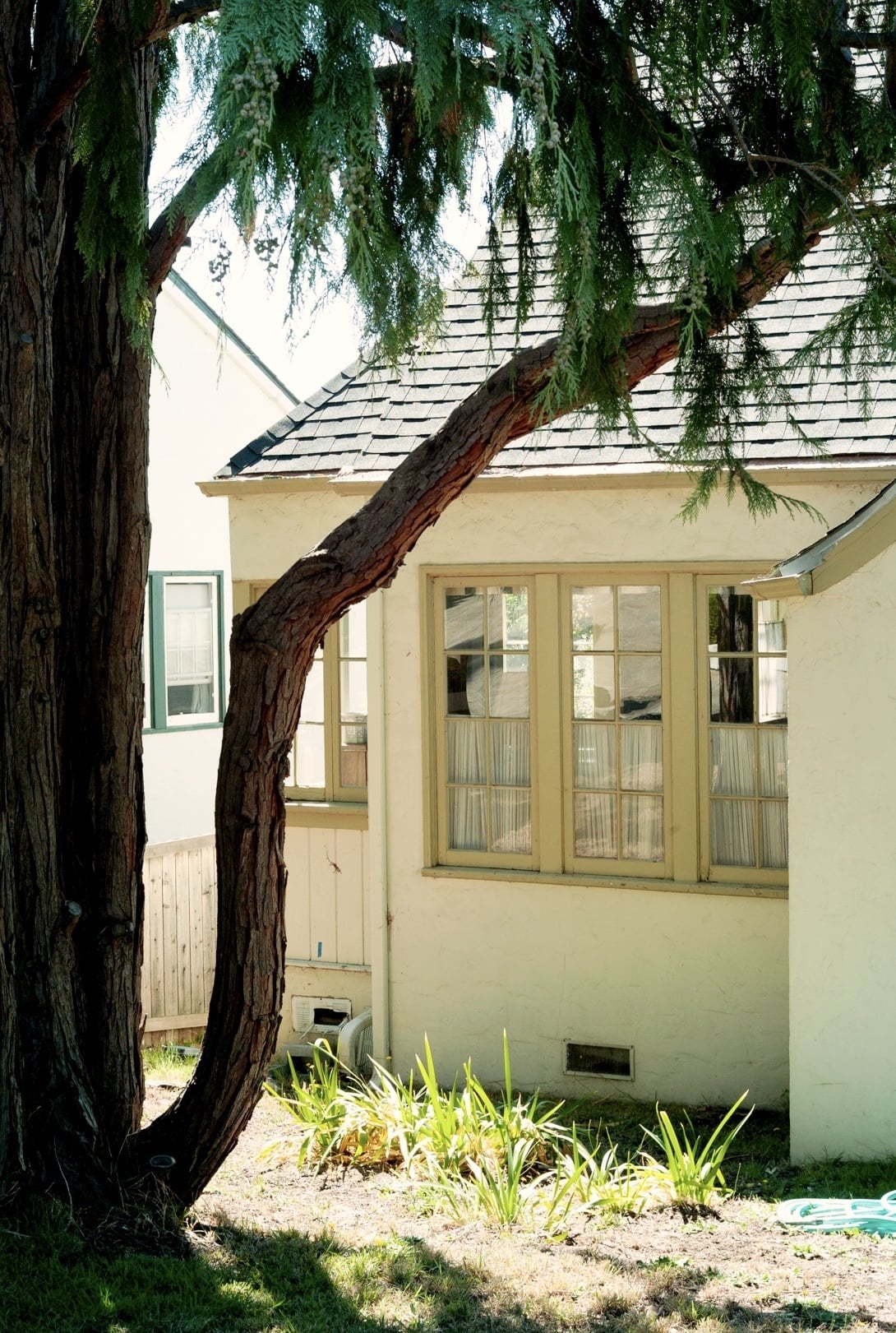 Leica M8 photograph of a sunlit house framed by large trees