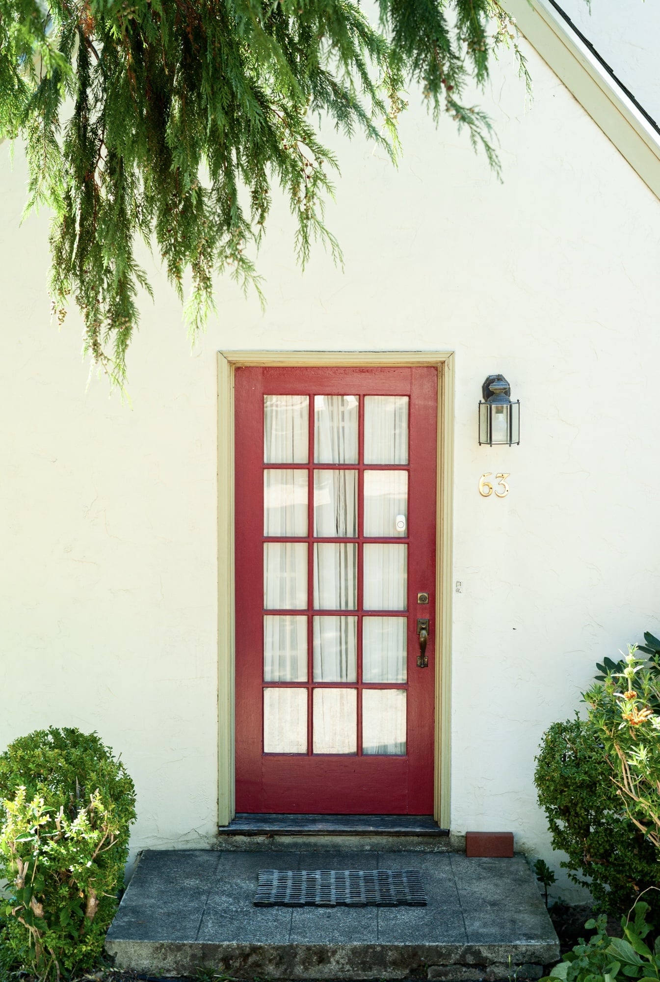 Red painted door photographed in bright sunlight with green foliage