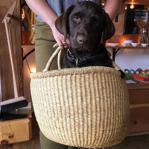 Natural Woven Grass Floor Basket - Medium - The Foundry Home Goods