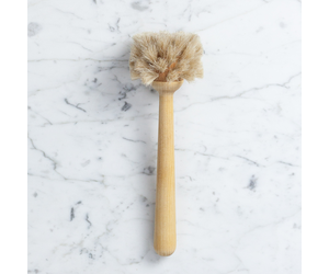 Birch Toilet Brush Refill - The Foundry Home Goods