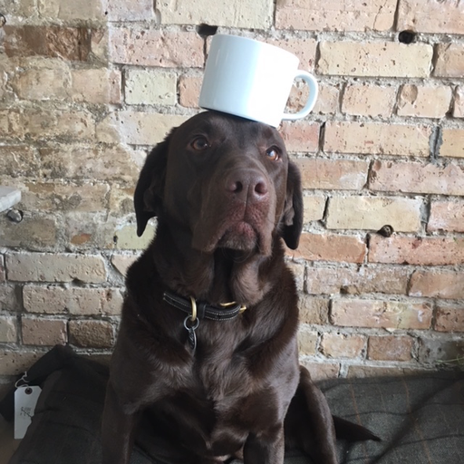 Common Everyday Ceramic Soup Mug - White - 13oz