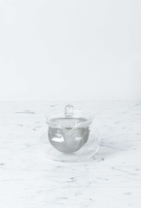 Hario Glass Hario Kyusu Teapot with Infuser 450ML -15oz