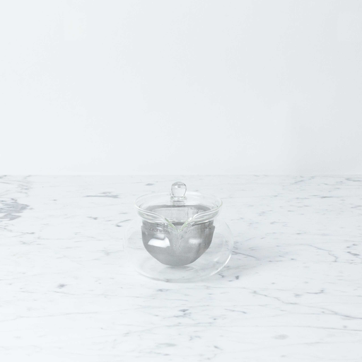 Hario Glass Hario Kyusu Teapot with Infuser 450ML -15oz