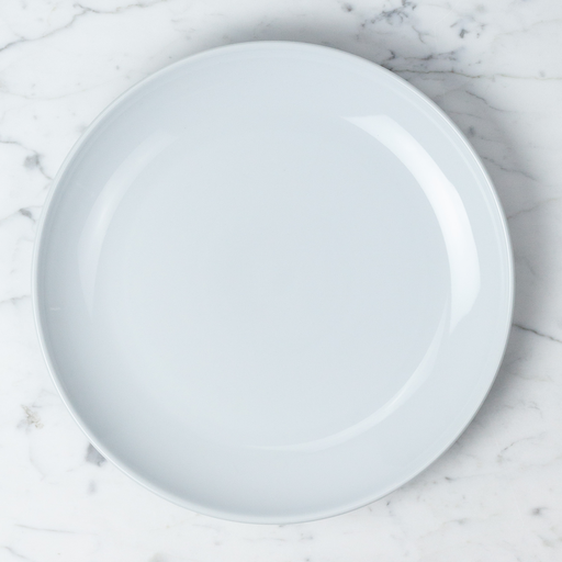Common Everyday White Porcelain Plate - 9.5" Dinner