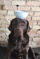 Common Everyday White Porcelain Bowl - 6"