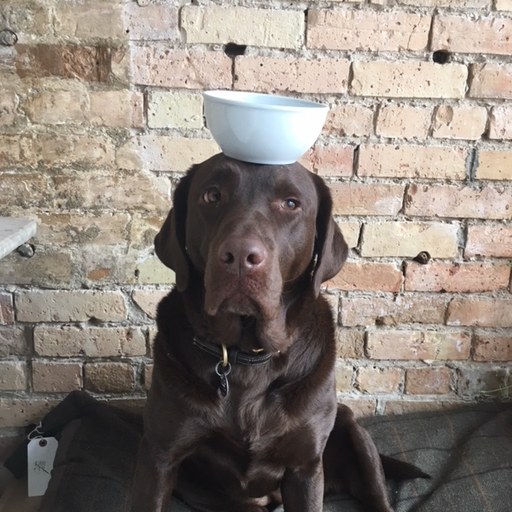 Common Everyday White Porcelain Bowl - 6"