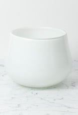 Medium Clovis Vessel - White - 7.5"