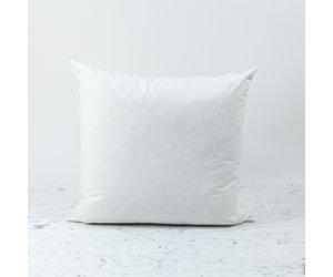 20 x 20 down pillow insert