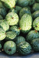 Seed Savers Exchange Seedsavers Seeds - Cucumber,  Mexican Sour Gherkin - Pack Of 30