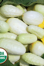 Seed Savers Exchange Cucumber Seeds - Miniature White (organic)