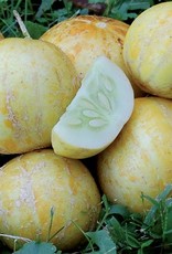 Seed Savers Exchange Cucumber Seeds - True Lemon - (organic)
