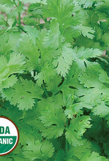 Seed Savers Exchange Seedsavers Seed Pack - Herb Seeds - Cilantro (organic) - Pack Of 150