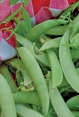 Seed Savers Exchange Seed Savers - Pea, Amish Snap- Pack of 25 Seeds