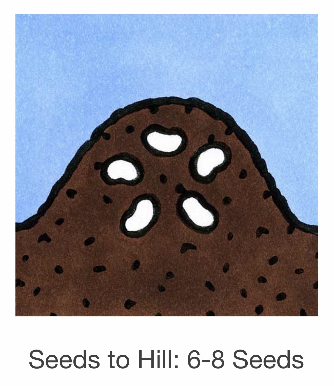 Seed Savers Exchange Seedsavers Seeds - Cucumber,  Mexican Sour Gherkin - Pack Of 30