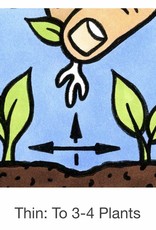 Seed Savers Exchange Seedsavers Seeds - Cucumber,  Mexican Sour Gherkin - Pack Of 30