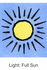 Seed Savers Exchange Seedsavers Seeds - Cucumber,  Mexican Sour Gherkin - Pack Of 30