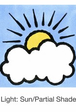 Seed Savers Exchange Seed Savers - Flower, Firmament- Pack of 100 Seeds