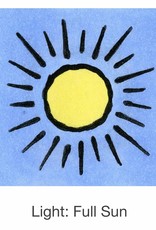 Seed Savers Exchange Seed Savers - Flower, Love-in-a-Mist “Miss Jekyll”- Pack of 50 Seeds