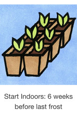 Seed Savers Exchange Seed Savers - Ground Cherry, Loewen Family Heirloom (organic)- Pack of 40 Seeds