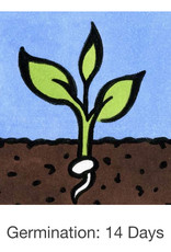 Seed Savers Exchange Seed Savers - Ground Cherry, Loewen Family Heirloom (organic)- Pack of 40 Seeds