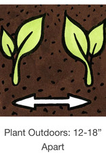 Seed Savers Exchange Seed Savers - Ground Cherry, Loewen Family Heirloom (organic)- Pack of 40 Seeds