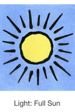 Seed Savers Exchange Seed Savers - Ground Cherry, Loewen Family Heirloom (organic)- Pack of 40 Seeds