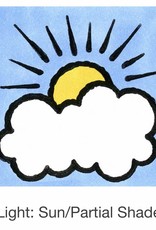 Seed Savers Exchange Seedsavers Seeds - Herbs, Cilantro (organic) - Pack Of 150