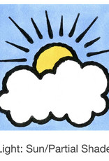 Seed Savers Exchange Seedsavers Seeds - Herbs, Garlic Chives - Pack Of 150