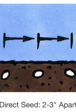 Seed Savers Exchange Seed Savers - Pea, Amish Snap- Pack of 25 Seeds