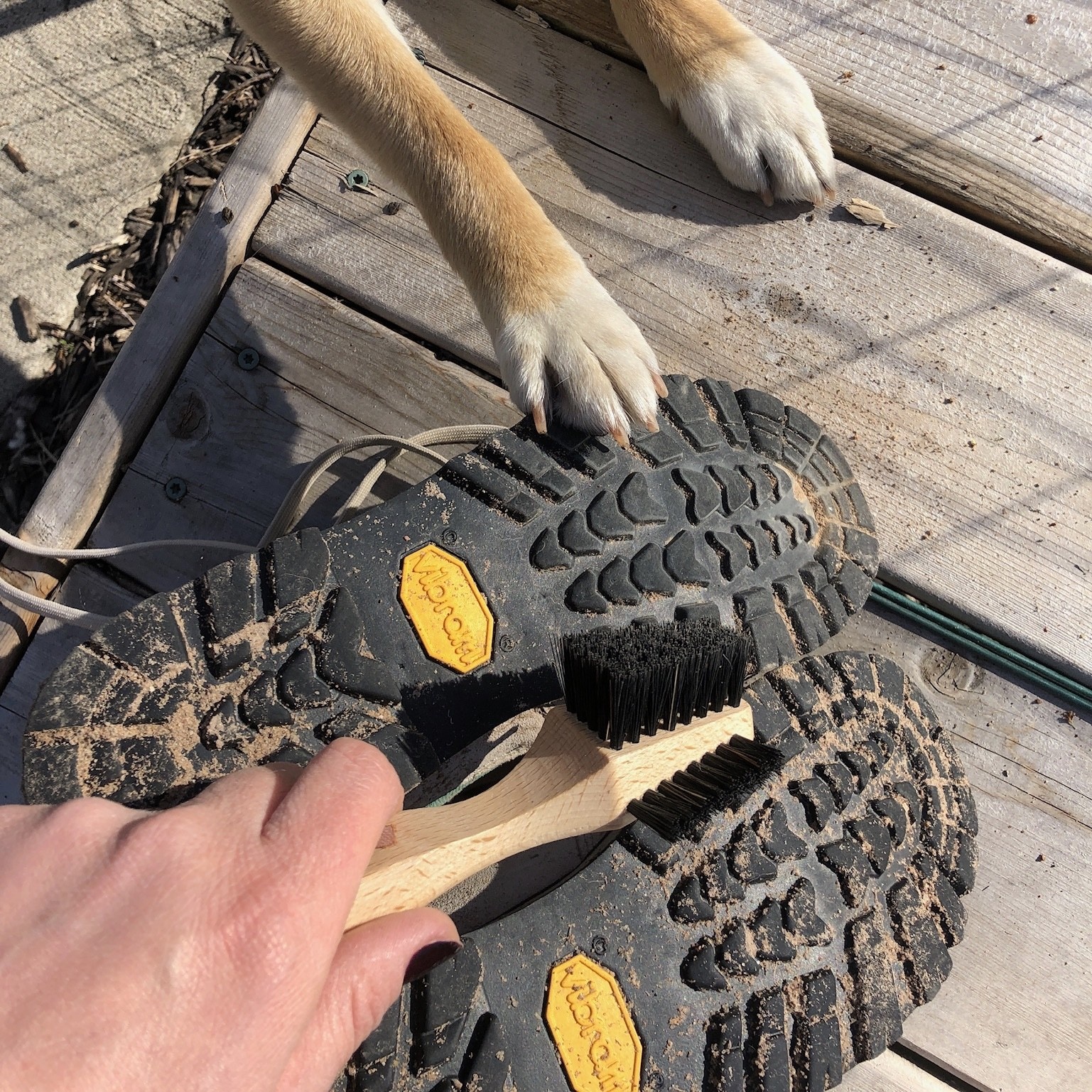German Hiking Shoe Sole Brush and Cleaner