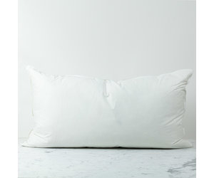 20 x 36 pillow insert