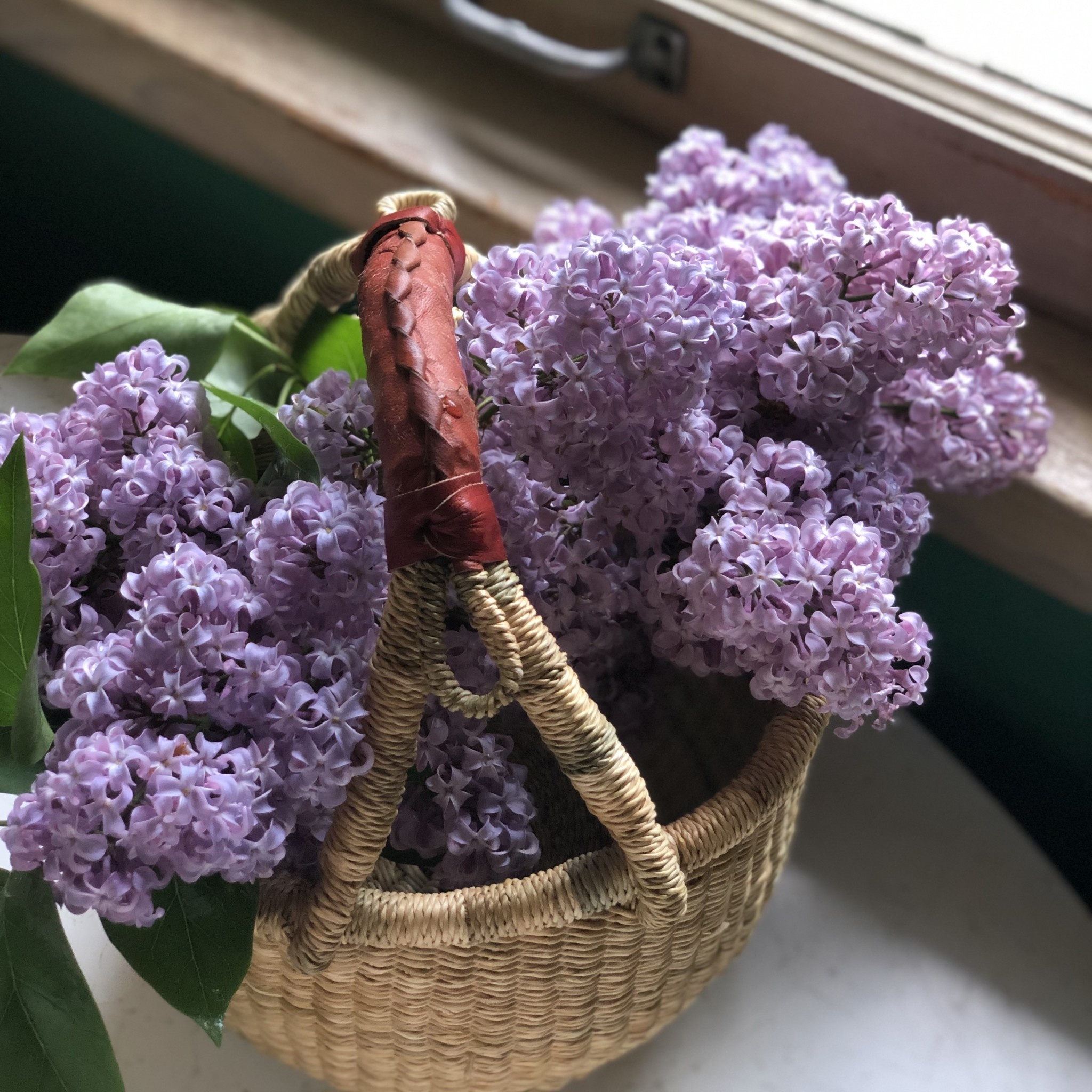Bolga Baskets Children's Grass Bolga Basket with Leather Handle - 10"