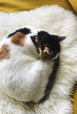 Natural White Rustic Sheepskin