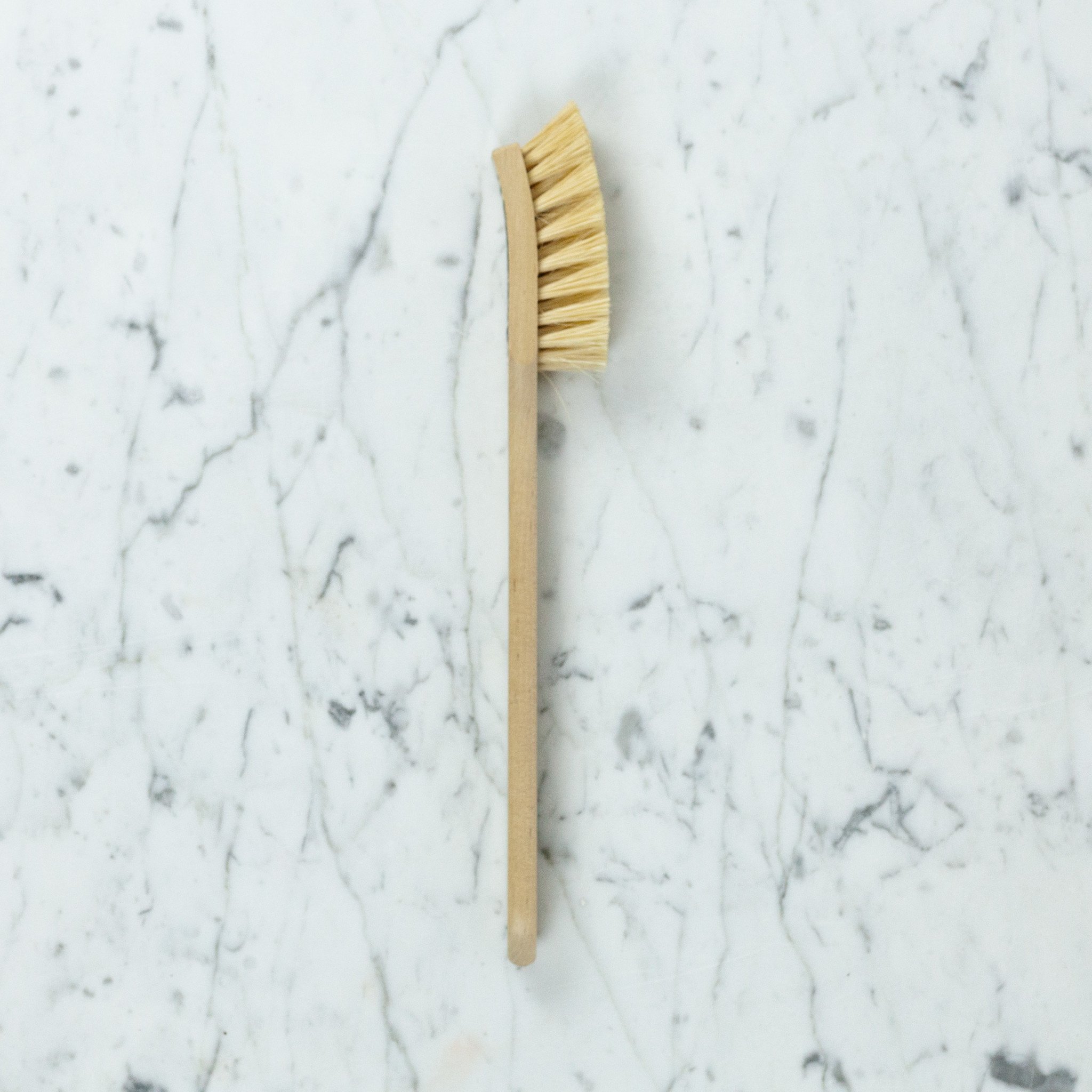 Swedish Everyday Dishbrush with Replaceable Head - Soft Bristle - The  Foundry Home Goods