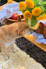 Natural White Rustic Sheepskin